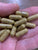 Iodine 12.5 mg 180 capsules